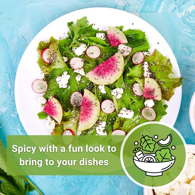 Sow Right Seeds - Watermelon Radish Seed for Planting - Non-GMO Heirloom Packet with Instructions to Plant a Home Vegetable Garden - Unique & Rare Veggie, Watermelon-Like Coloring When Cut (2)