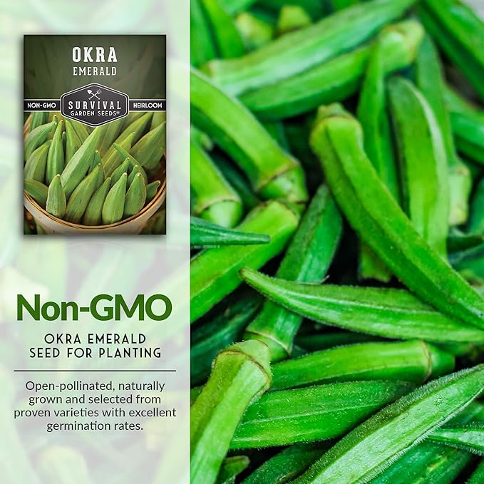 Survival Garden Seeds - Emerald Okra Seed for Planting - Packet with Instructions to Plant and Grow Tender and Large Okra in Your Home Vegetable Garden - Non-GMO Heirloom Variety - 5 Pack