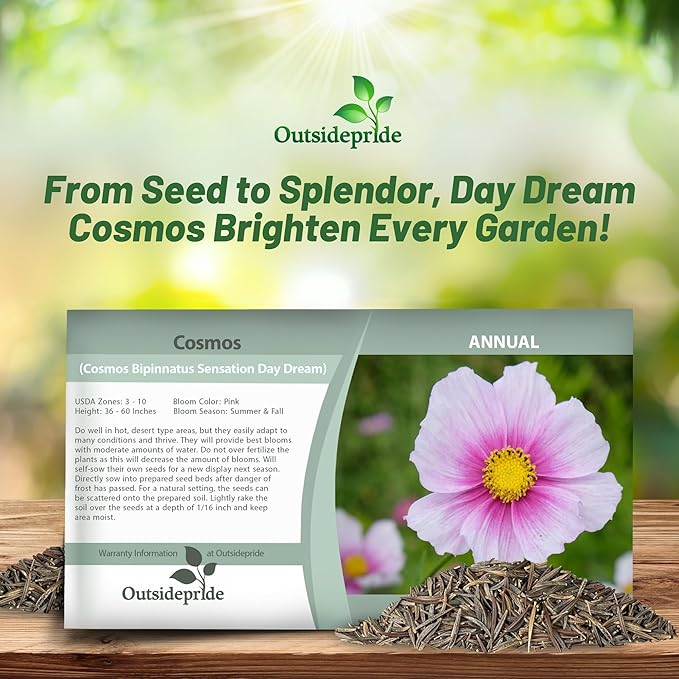 Outsidepride 2000 Seeds Annual Cosmos Bipannatus Day Dream Pink Cut Flower Seeds for Planting