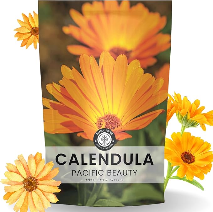 Calendula Pacific Beauty - Bulk 1/4 Pound Pouch - 12,000 Flower Seeds for Planting - Calendula officinalis