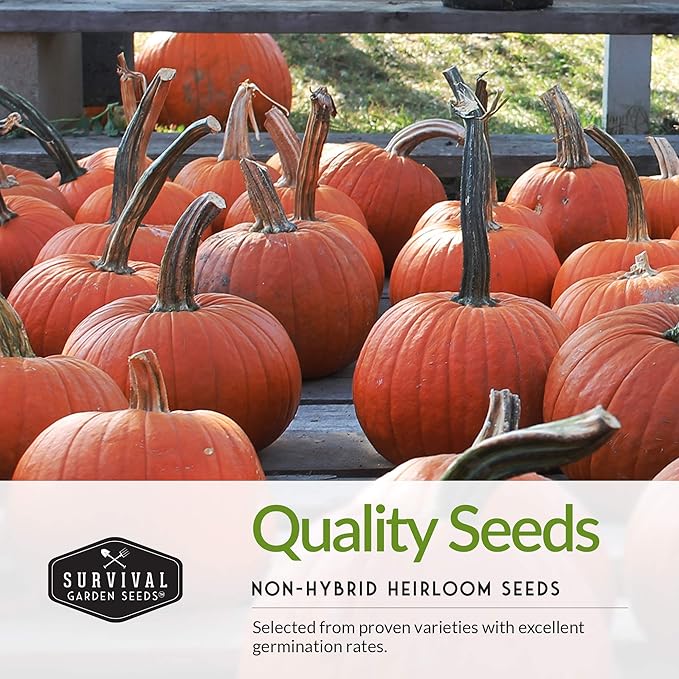 Survival Garden Seeds Pumpkin Collection Seed Vault - Non-GMO Heirloom Seeds for Planting Vegetables - Casper, Fairy Tale, Jack O'Lantern, Small Sugar Pumpkins for Growing in Your Vegetable Garden