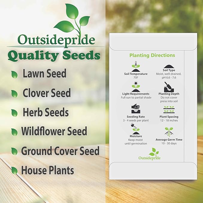 Outsidepride 200 Seeds Perennial Night & Day Scabiosa Pincushion Flower Seed Mix for Planting