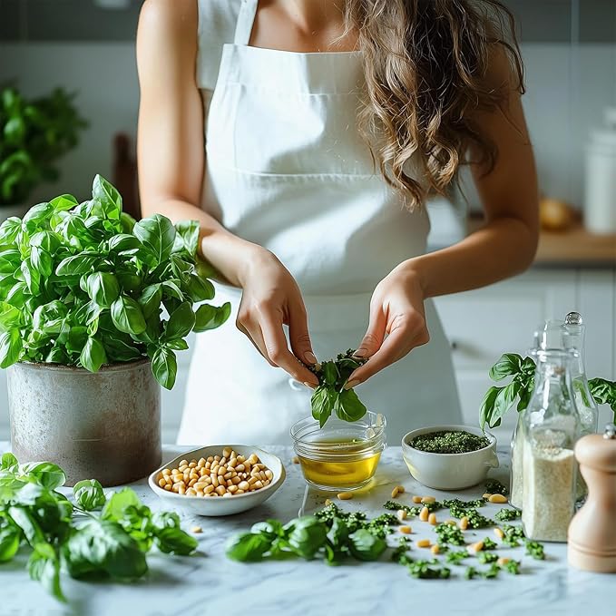 30,000+ Herb Seeds for Planting, 25 Varieties Heirloom Culinary Tea Herb Seeds Gift Pack, Non-GMO Herb Seed Garden Kit for Indoor Outdoor Growing, Home Fresh Food Herb Supply