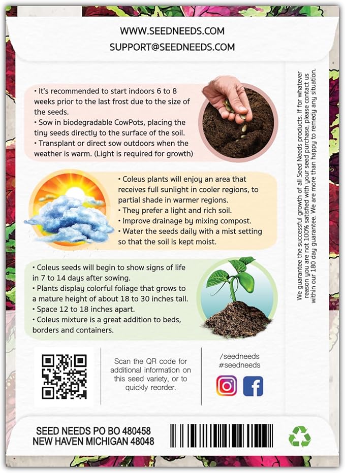 Seed Needs Coleus Seeds for Planting Rainbow Mixture - Heirloom & Open Pollinated Plants Prefer Partial Shade Indoors/Outdoors (2 Packs)