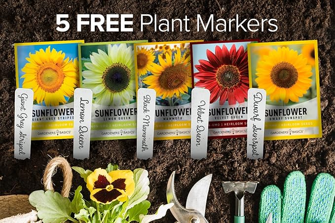 Gardeners Basics, Sunflower Seeds for Planting Flowers (5 Pack Mix) - Velvet Queen, Dwarf Sunspot, Lemon Queen, Giant and Mammoth Bulk Mix of Regular Sunflower Seeds for Outdoor Flower Garden