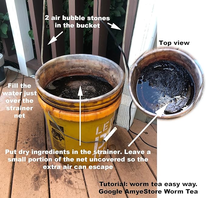 2025 Early Bird-40ct Sweet Pepper Seeds for Planting,Green & Red Bell Pepper Seeds,Non-GMO Heirloom Seeds Vegetable Seeds for Home Vegetable Garden&Hydronic Pods-Veggie Seeds:California Wonder