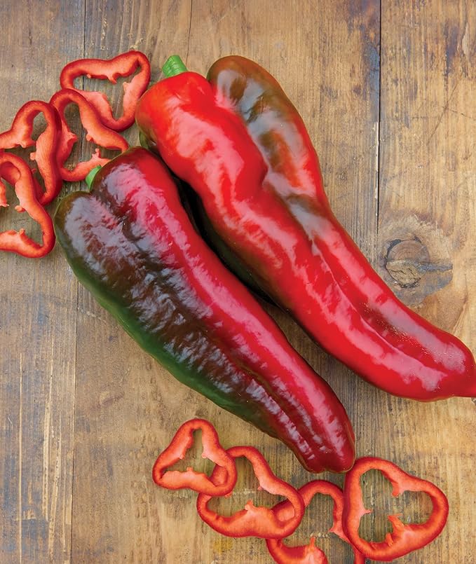 Burpee Thunderbolt Hybrid Sweet Italian Roasting Pepper Seeds | 20 Non-GMO Seeds | Vegetable Seeds for Planting | Grow Your Own Fresh Bell Pepper Live Plants