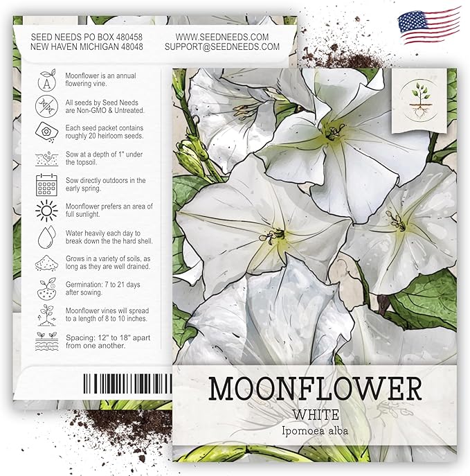 Seed Needs, White Moonflower Seeds - 20 Heirloom Seeds for Planting Ipomoea alba - Annual Flowering Vines Produce Large 6 Inch Blooms (1 Pack)