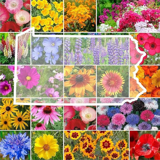 Eden Brothers Pennsylvania Wildflower Mixed Seeds for Planting, 5 lbs, 2,400,000+ Seeds with Coreopsis, Lupine | Attracts Pollinators, Plant in Spring or Fall, Zones