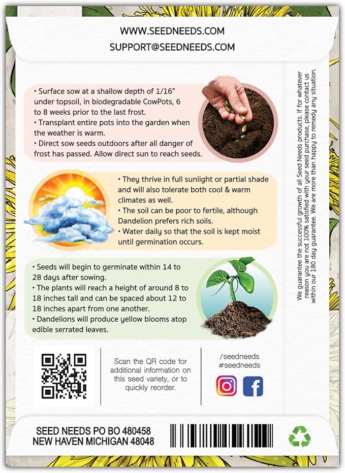 Seed Needs Dandelion Seeds for Planting - Non-GMO, Heirloom & Untreated Perennial Herbs - Organically Grow Food for Tortoises, Rabbits & Bearded Dragons (1 Pack)