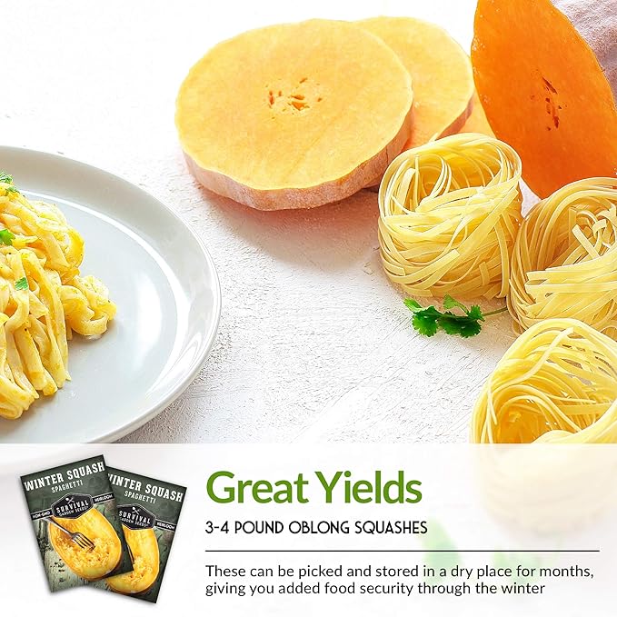 Survival Garden Seeds - Spaghetti Squash Seed for Planting - 3 Packets with Instructions to Plant and Grow Low Carb Healthy Winter Squash in Your Home Vegetable Garden - Non-GMO Heirloom Variety