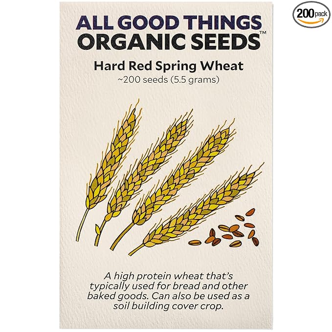 All Good Things Organic Hard Red Spring Wheat Seeds - Pack of 200, Heirloom Seeds for Planting Grains, Vegetables - Gardening Supplies, Vegetable Garden - Non-GMO, Open Pollinated, from USA