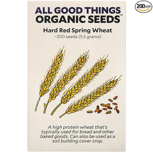 All Good Things Organic Hard Red Spring Wheat Seeds - Pack of 200, Heirloom Seeds for Planting Grains, Vegetables - Gardening Supplies, Vegetable Garden - Non-GMO, Open Pollinated, from USA