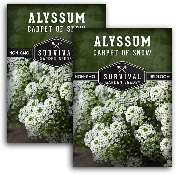 2 Packs Carpet of Snow Alyssum Seed for Planting with Instructions to Grow Lobularia maritima in Your Home Flower or Vegetable Garden - Non-GMO Heirloom - Survival Garden Seeds