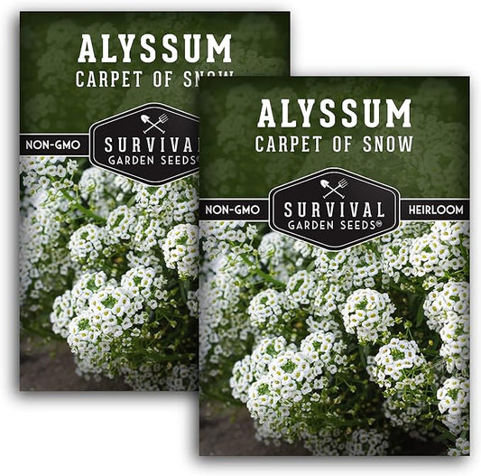 2 Packs Carpet of Snow Alyssum Seed for Planting with Instructions to Grow Lobularia maritima in Your Home Flower or Vegetable Garden - Non-GMO Heirloom - Survival Garden Seeds