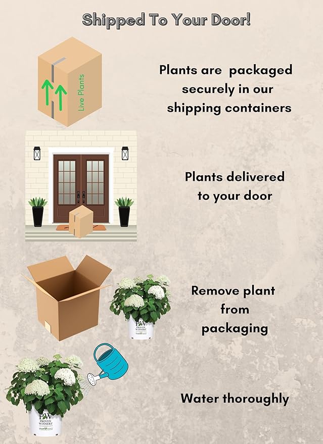 5 Gallon Proven Winners Hydrangea Incrediball