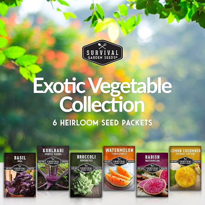 Survival Garden Seeds Rare Exotic Heirloom Veg Collection - Purple Vienna Kohlrabi, Lemon Cucumber, Watermelon Radish, Opal Basil, Romanesco Broccoli, Tendersweet Orange Watermelon Vegetable Seeds