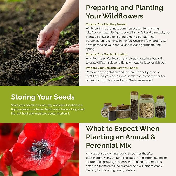 Eden Brothers Poppy Power Flower Mixed Seeds for Planting, 5 lb, 2,400,000+ Seeds with Red Corn, Iceland, California Poppy, Attracts Pollinators, Plant in Spring or Fall, Zones 3, 4, 5, 6, 7, 8, 9, 10