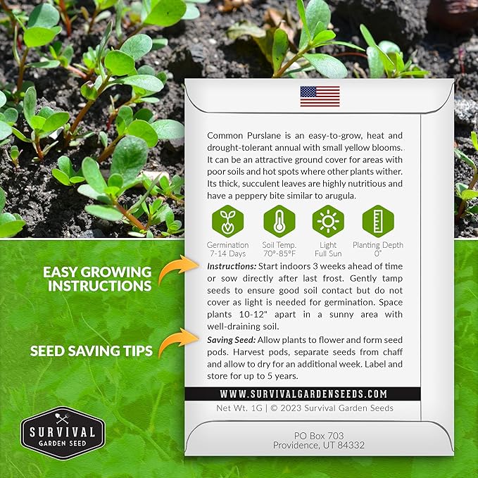 Common Purslane Seed for Planting - 5 Packets with Instructions to Plant and Grow Green Portulaca Oleracea in Your Home Vegetable Garden - Non-GMO Heirloom Variety - Survival Garden Seeds