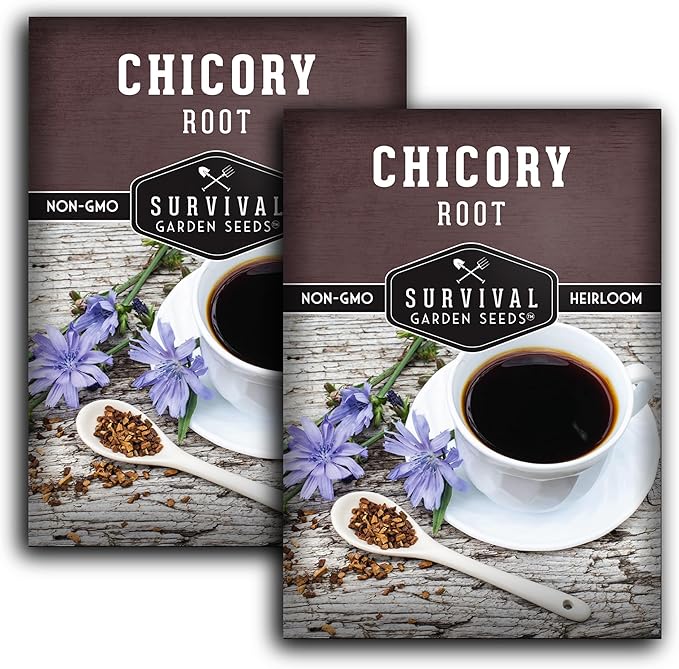 Root Chicory Seed for Planting - 2 Packets with Instructions to Plant and Grow Coffee Chicory in Your Home Vegetable Garden - Non-GMO Heirloom Variety - Survival Garden Seeds