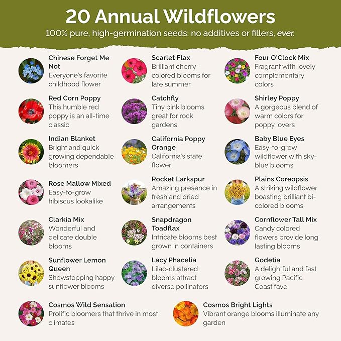 Eden Brothers All Annual Wildflower Mixed Seeds for Planting, 10 lb, 4,800,000+ Seeds Including Sunflower, Indian Blanket | Attracts Pollinators, Plant in Spring, Zones 3, 4, 5, 6, 7, 8, 9, 10