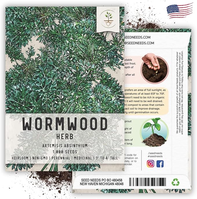 Seed Needs Wormwood Seeds for Planting - Non-GMO, Heirloom & Untreated Perennial Herb - Medicinal Herbs for Digestion & Gut Health (5 Packs)