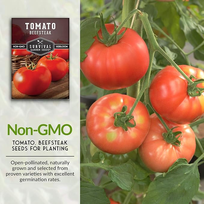 Survival Garden Seeds - Beefsteak Tomato Seed for Planting - Packet with Instructions to Plant and Grow Delicious Tomatoes in Your Home Vegetable Garden - Non-GMO Heirloom Variety - 2 Pack