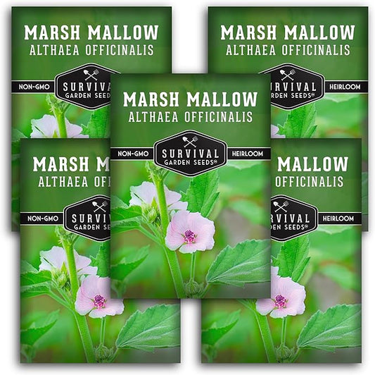 Marsh Mallow Seed for Planting - 5 Packets with Instructions to Plant and Grow Rare Medicinal Flowering Herbs in Your Home Vegetable Garden - Non-GMO Heirloom Variety - Survival Garden Seeds