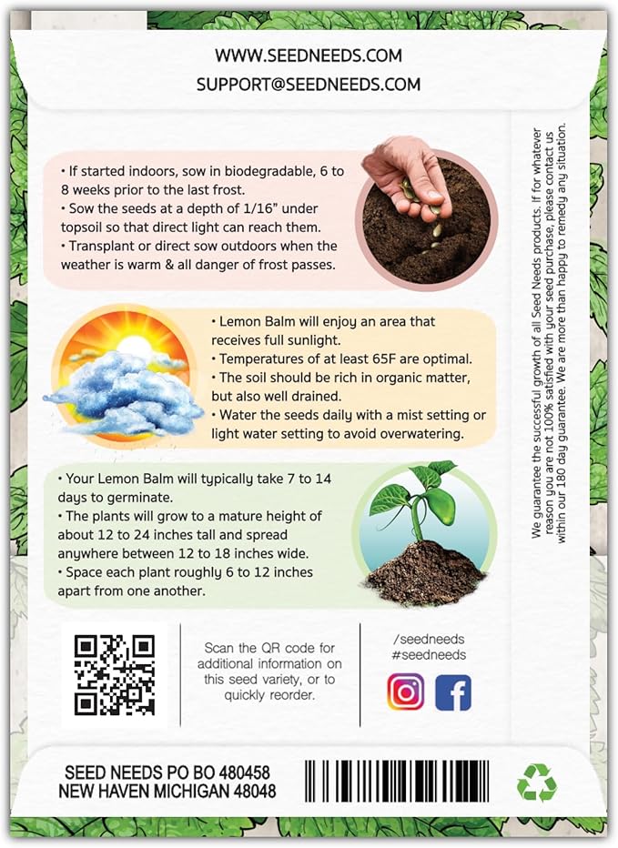 Seed Needs Lemon Balm Seeds for Planting - Non-GMO, Heirloom & Untreated Perennial Medicinal Herb - Plant Indoors/Outdoors Used for Making Calming Tea (2 Packs)