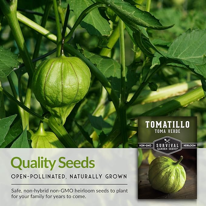 Survival Garden Seeds - Toma Verde Tomatillo Seed for Planting - 2 Packs with Instructions to Plant & Grow Green Salsa Vegetables in Your Home Vegetable Garden - Non-GMO Heirloom Variety Salsa Seeds