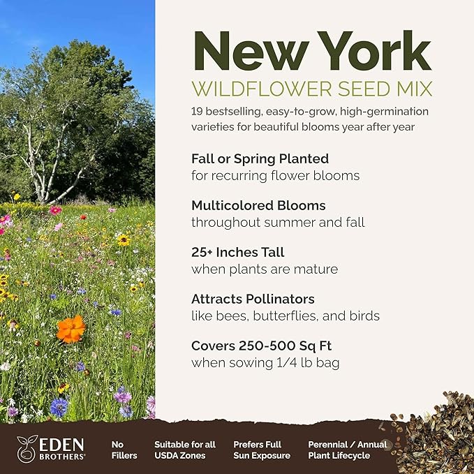 Eden Brothers New York Wildflower Mixed Seeds for Planting, 1/4 lb, 120,000+ Seeds with Coneflower, Cosmos | Attracts Pollinators, Plant in Spring or Fall, Zones