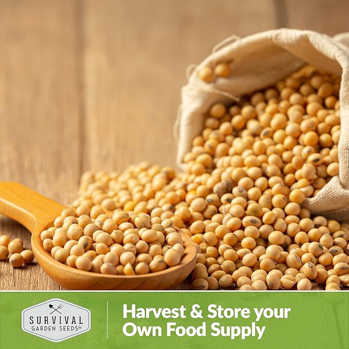 Survival Garden Seeds - Chiba Green Soybean Seed for Planting - 5 Packs with Instructions to Plant and Grow Protein-Rich Edamame Pods in Your Home Vegetable Garden - Non-GMO Heirloom Variety