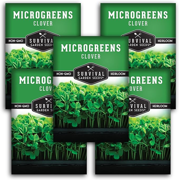 5 Packs Clover Microgreens Seeds for Sprouting and Growing - Sprout Green Leafy Micro Herb Plants Indoors - Grow A Mini Windowsill Garden - Non-GMO Heirloom