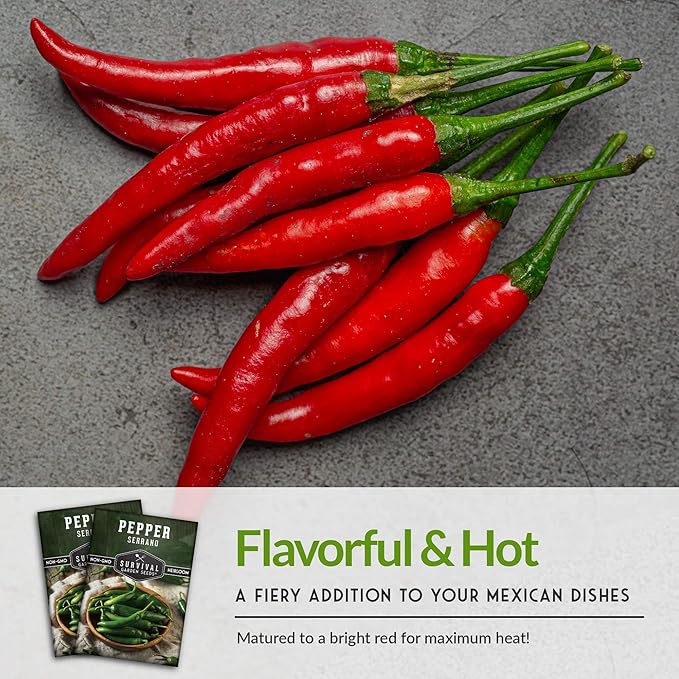 Survival Garden Seeds - Serrano Pepper Seed for Planting - 3 Packs with Instructions to Plant and Grow Spicy Mexican Peppers in Your Home Vegetable Garden - Non-GMO Heirloom Variety