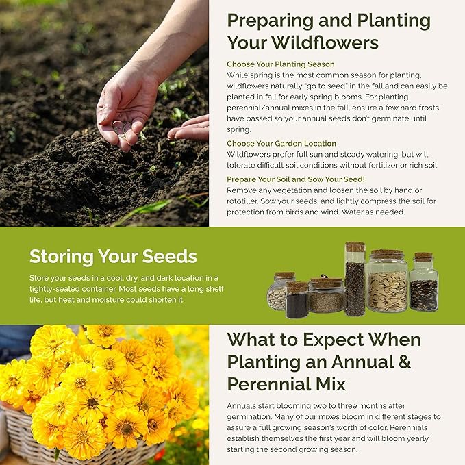 Eden Brothers Fiery Flower Mixed Seeds for Planting, 5 lb, 2,400,000+ Seeds with Zinnia Scarlet Flame, Plains Coreopsis | Attracts Pollinators, Plant in Spring or Fall, Zones 3, 4, 5, 6, 7, 8, 9, 10