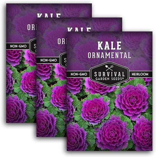 Ornamental Kale Seed for Planting - 3 Packets with Instructions for Growing Ornamental Flowering Kale Plants in Your Home Vegetable Garden - Non-GMO Heirloom Variety - Survival Garden Seeds