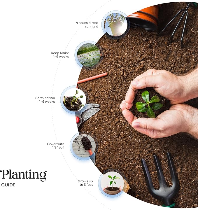 50 pcs Large Magenta Hearts – Plantable Seed Paper for Weddings, Gifts, and Life Events (#19s)