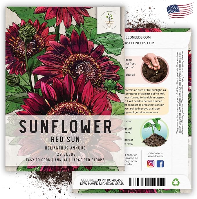 Seed Needs, Red Sun Sunflower Seeds - 120 Heirloom Seeds for Planting Helianthus annuus - Great Cut Flowers, Attracts Butterflies/Pollinators (5 Packs)