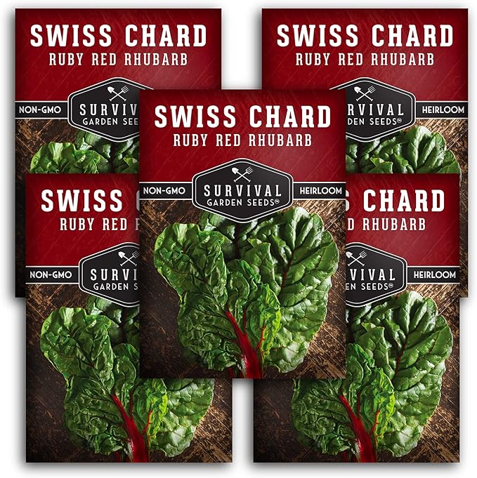 Survival Garden Seeds - Ruby Red Rhubarb Swiss Chard Seed for Planting - 5 Packs with Instructions to Plant and Grow Delicious Leafy Greens in Your Home Vegetable Garden - Non-GMO Heirloom Variety