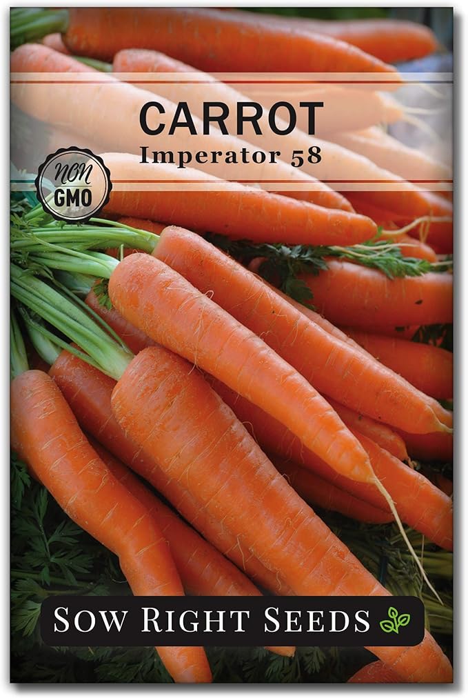 Sow Right Seeds - Imperator 58 Carrot Seed for Planting - Non-GMO Heirloom Packet with Instructions to Plant a Home Vegetable Garden - Indoors or Outdoors - Long Variety, Super Sweet (1)