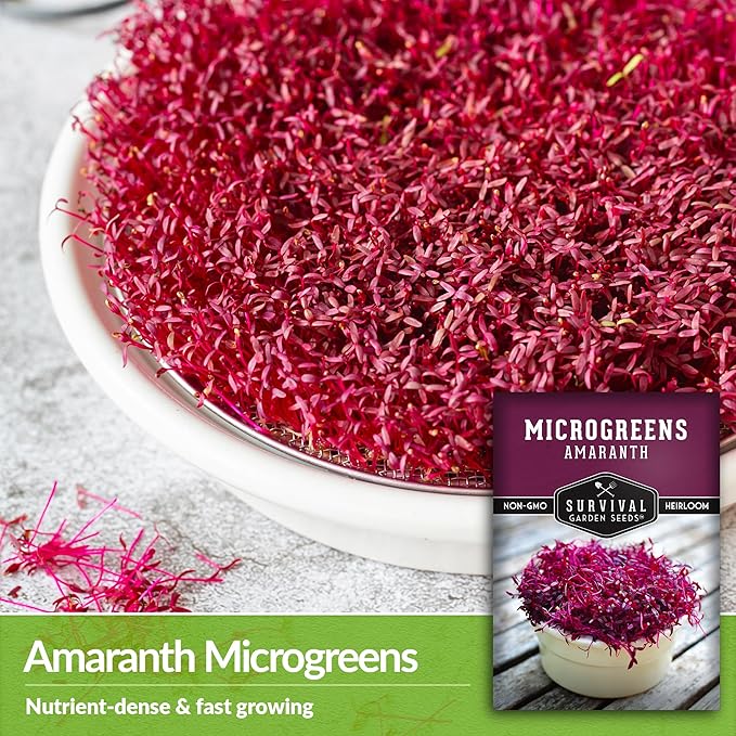 2 Packs Amaranth Microgreens Seeds for Planting and Growing - Plant Green Leafy Micro Vegetable Plants Indoors - Grow A Mini Windowsill Garden - Non-GMO Heirloom - Survival Garden Seeds