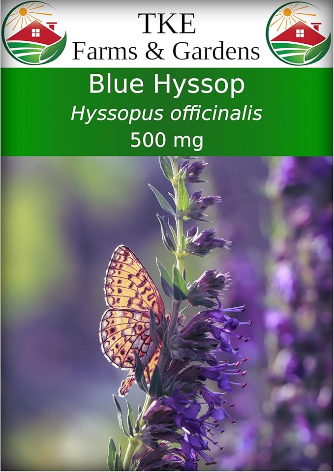 TKE Farms & Gardens - Hyssop Seeds for Planting, 500+ Non-GMO Heirloom Herb Seeds, Aromatic Medicinal Herb with Minty Flavor, Easy to Grow, Attracts Pollinators, Instructions Included, Qty 1