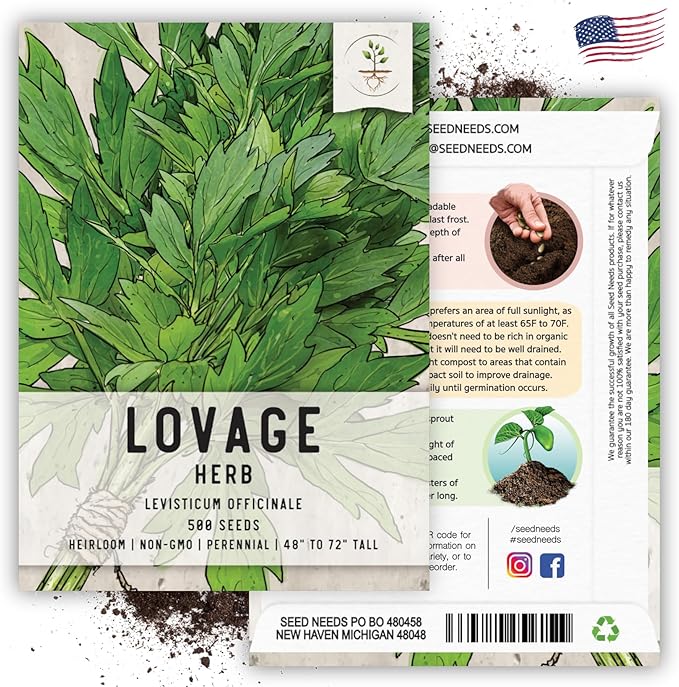 Seed Needs Lovage Seeds for Planting - Non-GMO, Heirloom & Untreated - Organically Grow Your own Medicinal/Culinary Herb Garden Indoors or Outdoors (1 Pack)