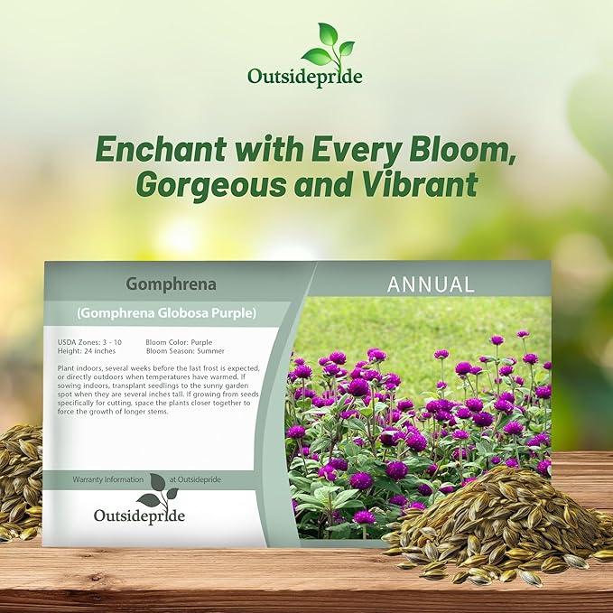 Outsidepride 1000 Seeds Annual Purple Gomphrena Globosa Flower Seed for Planting