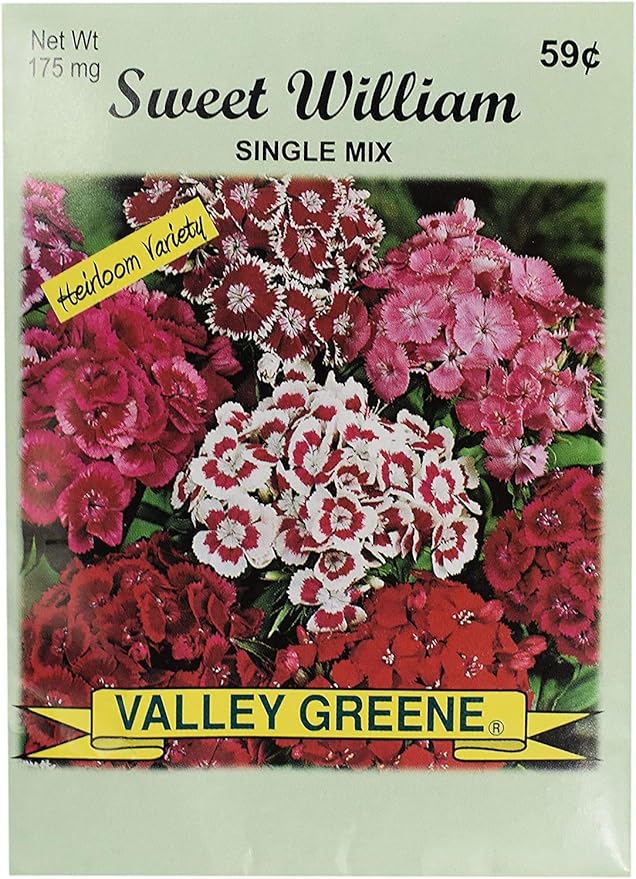 Set of Flower Seed Packets! Flower Seeds in Bulk - Great for Creating The Garden of Your Dreams! (200, Sweet William - Single Mix)