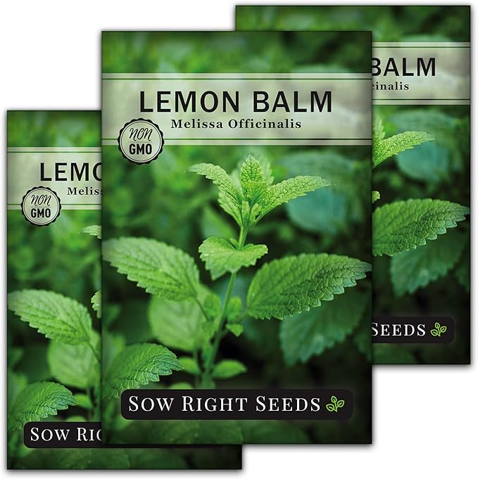 Sow Right Seeds - Lemon Balm Seeds for Planting - Non-GMO Heirloom Packet With Instructions - Easy to Grow Herb Garden - Aromatic Medicinal Herb and Great for Herbal Teas - Perennial Mint Relative (3)