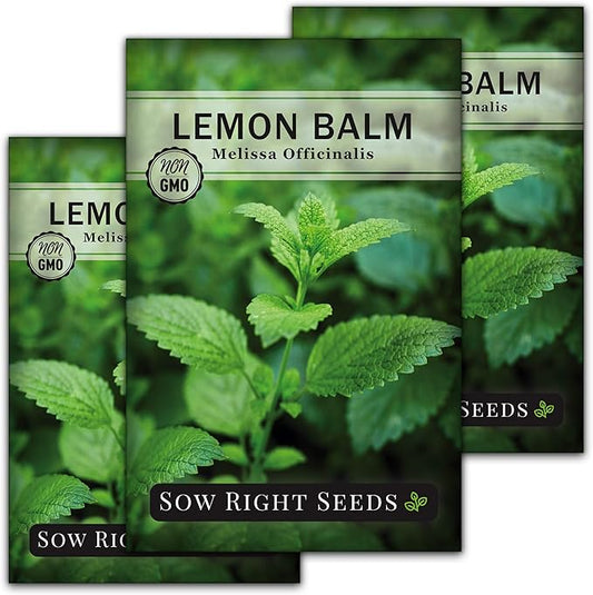 Sow Right Seeds - Lemon Balm Seeds for Planting - Non-GMO Heirloom Packet With Instructions - Easy to Grow Herb Garden - Aromatic Medicinal Herb and Great for Herbal Teas - Perennial Mint Relative (3)