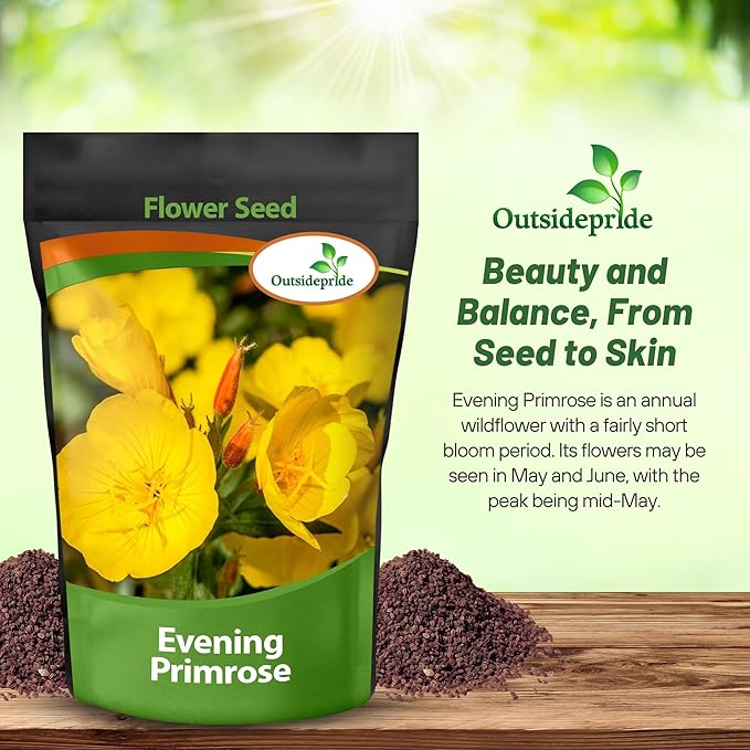 Outsidepride 1/4 lb. Annual Oenothera Lamarckiana Evening Primrose Wild Flower Seeds for Planting