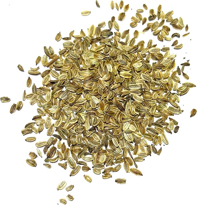 Seed Needs Lovage Seeds for Planting - Non-GMO, Heirloom & Untreated - Organically Grow Your own Medicinal/Culinary Herb Garden Indoors or Outdoors (2 Packs)