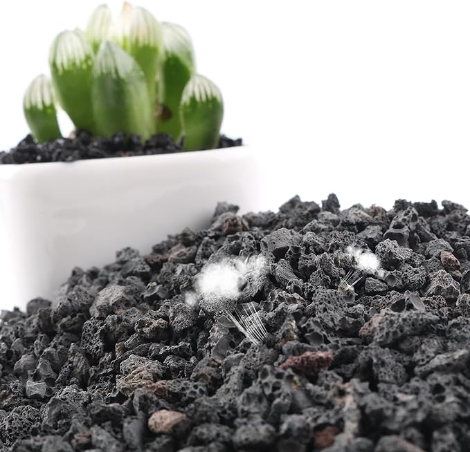 5 LB Black Lava Rocks for Plant